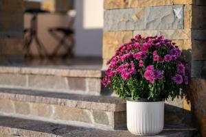 Villa MiraMar Istria & Private Retreat