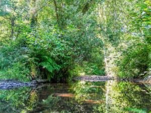 Bluebell Lodge - Uk50875