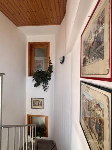 Quadrifoglio House