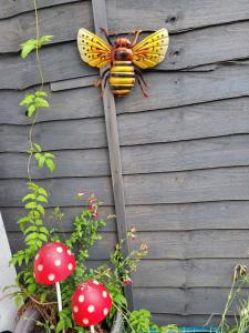 Cozy Studio Newly Furnished