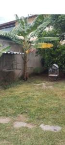 Recanto dos pássaros