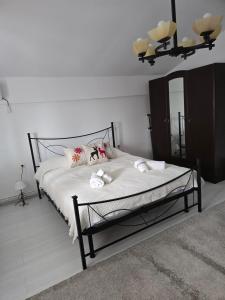 Relax studio Craiovita