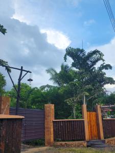 Cinnamon Grove