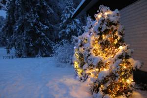 Atmospheric house on riverbank