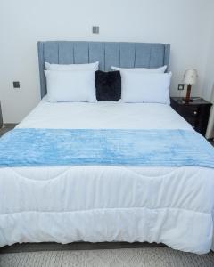 Alina Harbour, Wasiic Homes