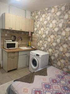 Стая радецки