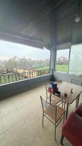 Harmony Villa Craiova