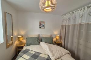 Magnifique appartement vue mont blanc