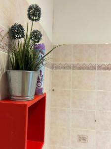 Suite Mondial - Rapallo Centro Mare & Wifi