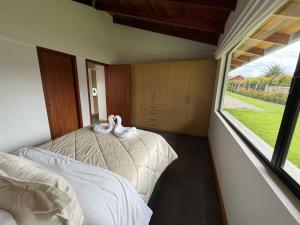 Quinta María Mercedes - Nature Retreat