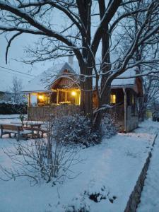 Cozy wooden house Robinia