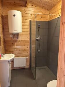 Domki caloroczne Hotel Zagiel