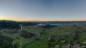 Cozy wooden house Robinia