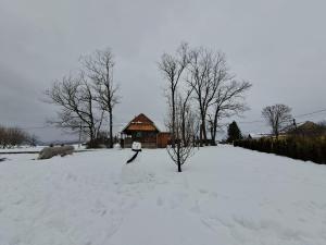 Cozy wooden house Robinia