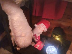 No frills narrowboat stay experience basic cosy