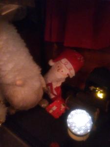 No frills narrowboat stay experience basic cosy