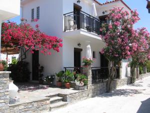 Topaz Apartments Samos Greece