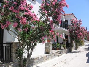 Topaz Apartments Samos Greece