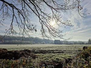 Chalet Séquoia 138 Nature, piscine et chien bienvenu à Durbuy