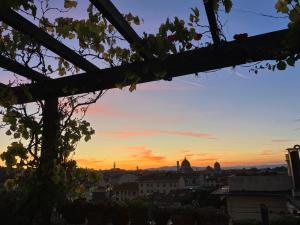 Highlight in Florence