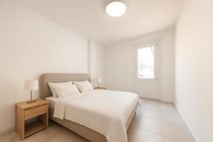 Lambrusco Apartment in the heart of Bologna