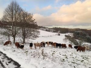 Ferienwohnung Ostwind