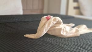 The Lotus Hotel Pyramids View