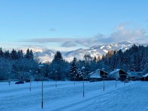 Apartmán Valley Demänovská dolina
