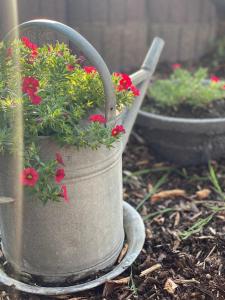 CALM HOME 3-Zimmer mit Wintergarten