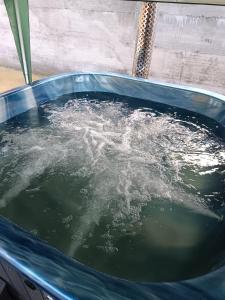 Casă de vacanţă ,,La Vălucu"