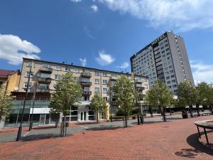 Central apartament II