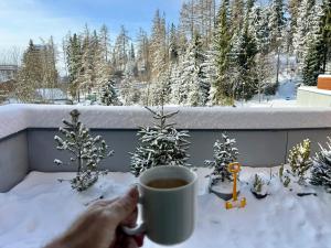 No.1 Apartment House Oliver