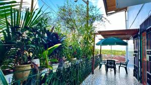 Hostal Maravilla Amazónica