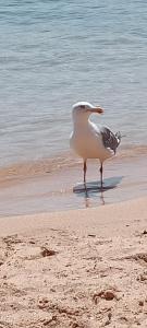 Appartamento a La Maddalena img54