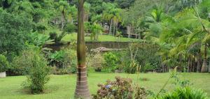 Chácara Recanto dos Lagos