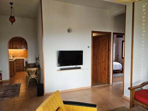 Stay Horizon #P1, Milies