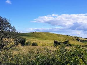 7 person holiday home in Knebel-By Traum