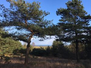 7 person holiday home in Knebel-By Traum