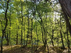 6 person holiday home in Bindslev-By Traum