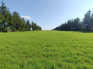 4 person holiday home in Toftlund-By Traum