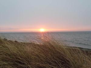 7 person holiday home in Frøstrup