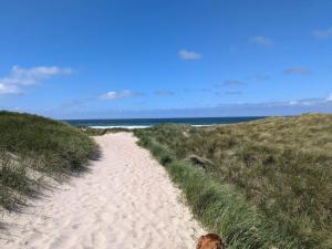 5 person holiday home in Thyholm-By Traum