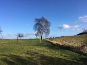 16 person holiday home in Vejby