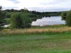 8 person holiday home in Brovst-By Traum