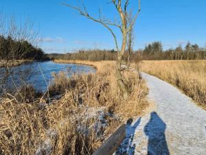 4 person holiday home in Ans By-By Traum