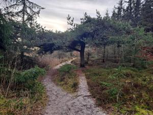 Luxury Beach House with Spa - By Traum Ferienwohnungen