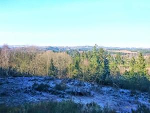 8 person holiday home in Gjern-By Traum