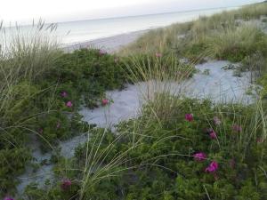 Cozy Retreat in Rorvig Haven-By Traum