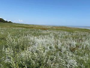 8 person holiday home in Ørsted-By Traum