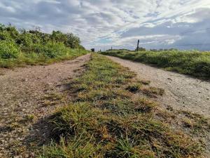 Luxury Retreat in Als - By Traum Ferienwohnungen